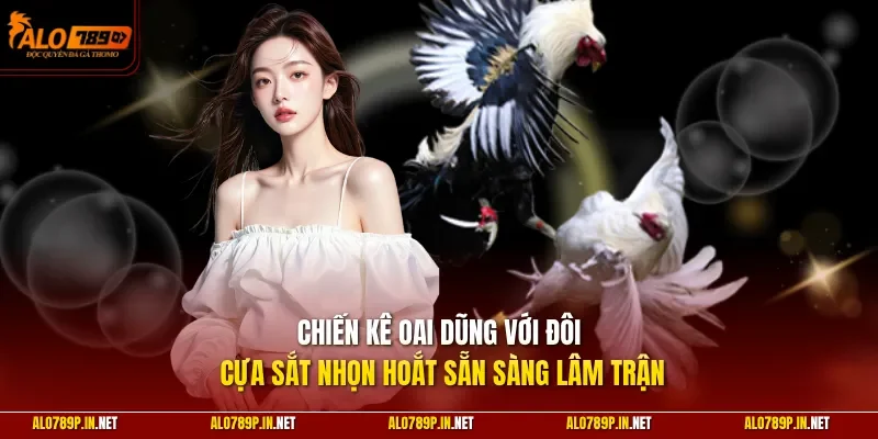 Chiến kê oai dũng với đôi cựa sắt nhọn hoắt sẵn sàng lâm trận